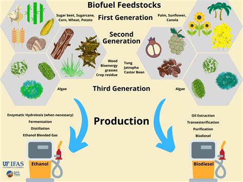  Linhaça: Explorando a Versatilidade Deste Tesouro Vegetal na Produção de Biocombustíveis e Tintas Naturais!