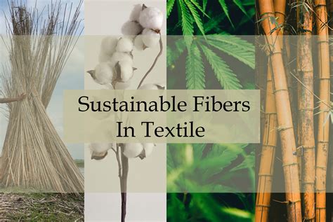 Ramie: A Bio-Based Wonder Fiber for Sustainable Textile Production and High-Performance Composites!