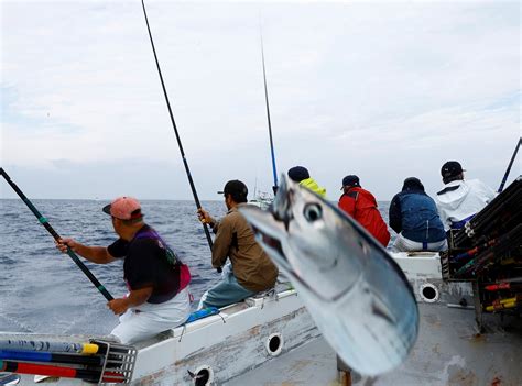 春日部 中古住宅：なぜカツオはここで釣れるのか？